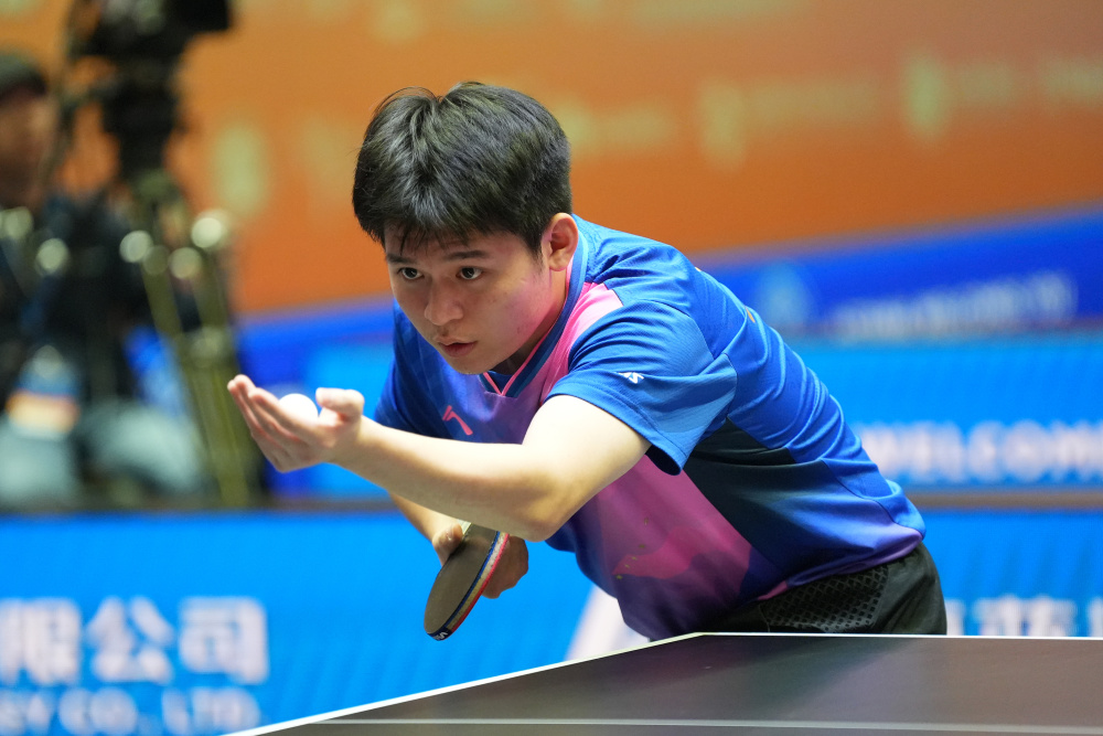 安赛龙并未 安赛龙并未